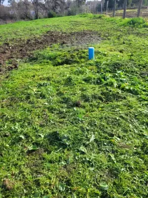 Parcela en venta en San Carlos