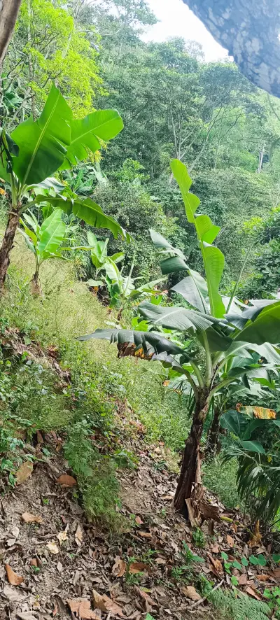 Finca en venta en Lourdes - foto 4