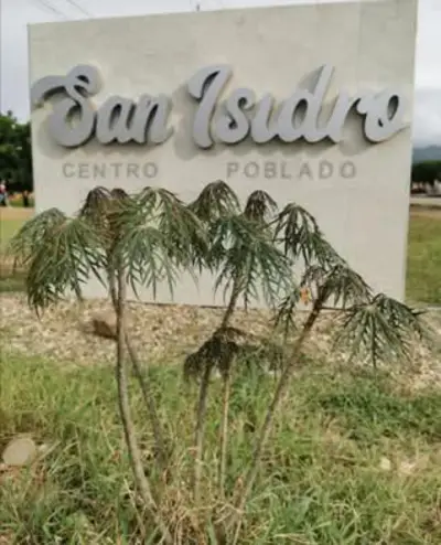Lote en venta en San Cayetano - foto 2