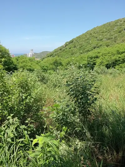 Lote en venta en Santa Marta - foto 5
