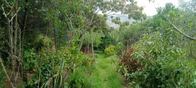 Finca en venta en Sachica - foto 3