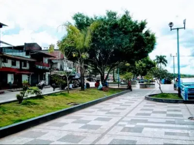 Terreno en venta en Aguaytia - foto 4