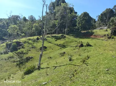 Finca en venta en Yolombo - foto 3