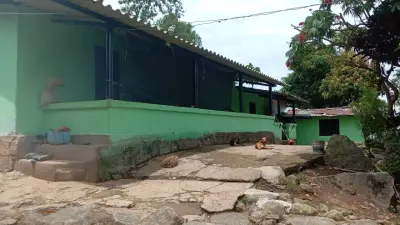 Finca en venta en Yolombo - foto 5