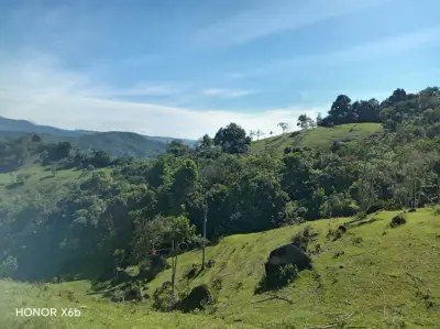 Finca en venta en Yolombo - foto 4