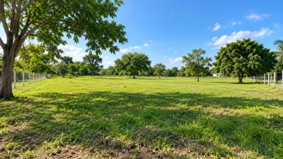 Lote en venta en Arjona - foto 2