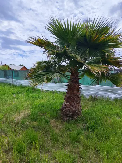 Casa en venta en Melipilla - foto 2