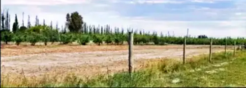 Terreno/lote en venta en San Rafael - foto 5