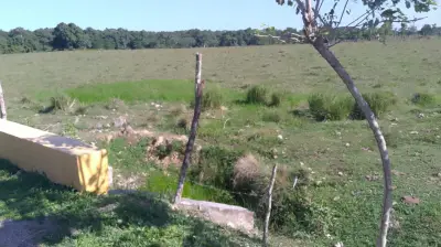 Finca en venta - foto 3