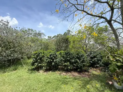 Finca en venta en El Carmen De Viboral - foto 4
