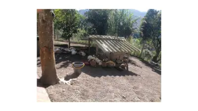 Finca en venta en Quipile - foto 2