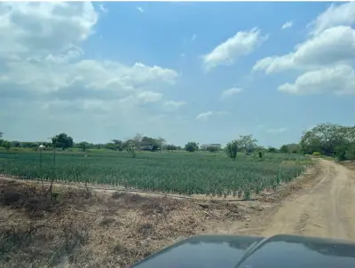 Lote en venta en Sitionuevo - foto 4