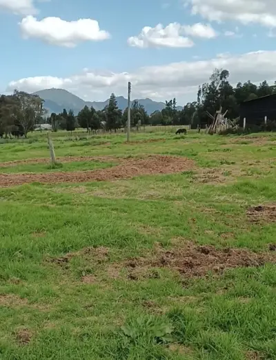 Lote en venta en Tabio - foto 5