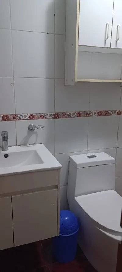 Departamento en alquiler en Los Olivos - foto 4