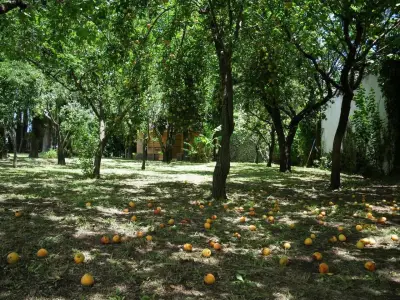 Casa en venta en Villa Carlos Paz - foto 3