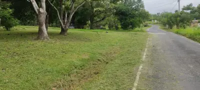 Terreno en venta en San Carlos - foto 4
