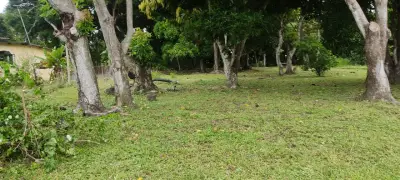 Terreno en venta en guyabito, san carlos