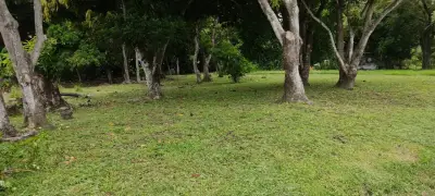 Terreno en venta en San Carlos - foto 2