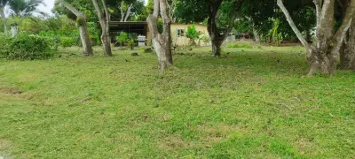 Terreno en venta en San Carlos - foto 5