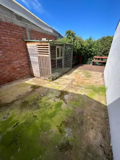 Casa en venta en Reñaca - foto 4