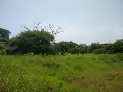 Terreno en venta en Guayaquil - foto 3