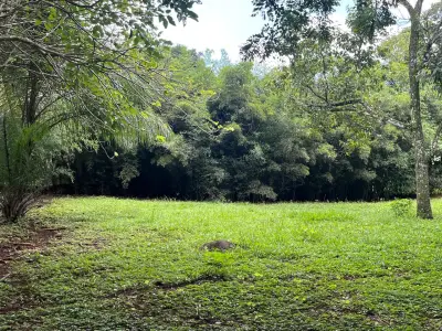 Terreno en venta en Atenas - foto 5