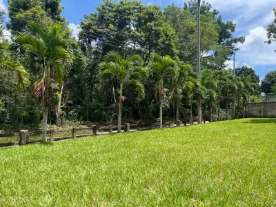 Terreno en venta en Atenas - foto 4