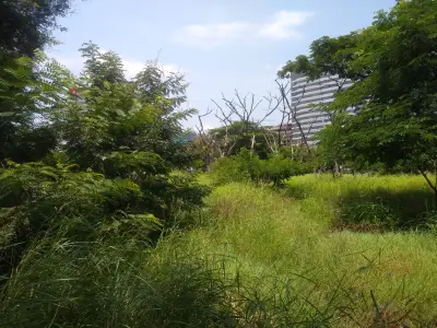 Terreno en venta en Guayaquil - foto 2