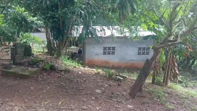 Terreno en venta en Chepo - foto 5
