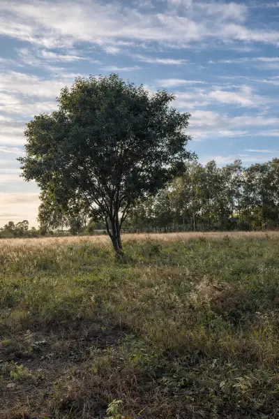Venta de campo en caraguatay
