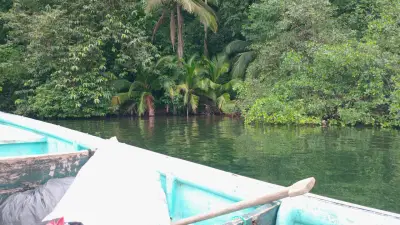 Terreno en venta en Bocas del Toro - foto 5