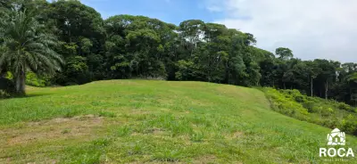 Terreno en venta en Perez Zeledon - foto 5