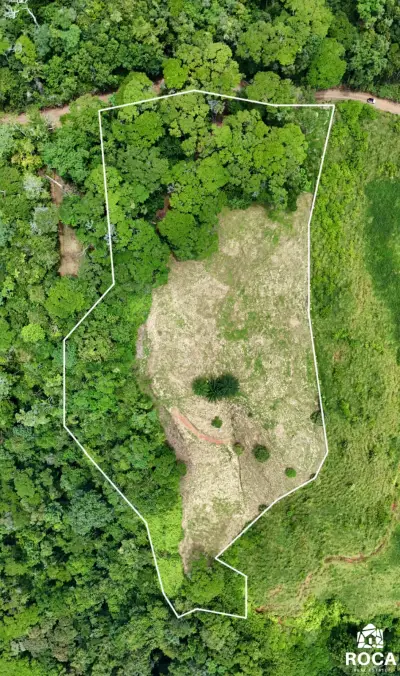 Terreno en venta en Perez Zeledon