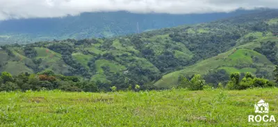 Terreno en venta en Perez Zeledon - foto 2