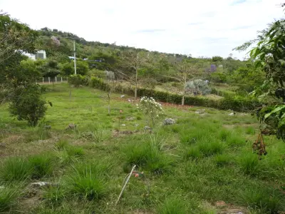 Finca en venta en El Colegio - foto 2