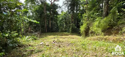 Terreno en venta en Perez Zeledon - foto 4