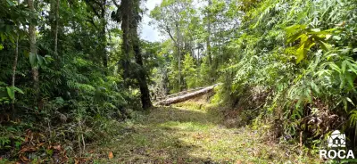Terreno en venta en Perez Zeledon - foto 2