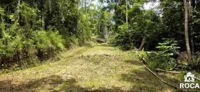 Terreno en venta en Perez Zeledon - foto 5