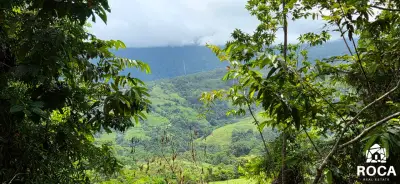 Terreno en venta en Perez Zeledon - foto 3