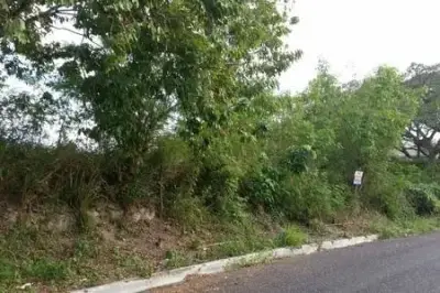 Solar en venta en Distrito Nacional - foto 2