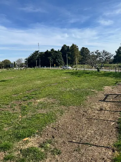 Terreno en venta en Colonia del Sacramento - foto 2