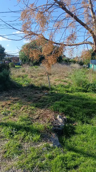 Terreno en Colonia del Sacramento – Real de San Carlos