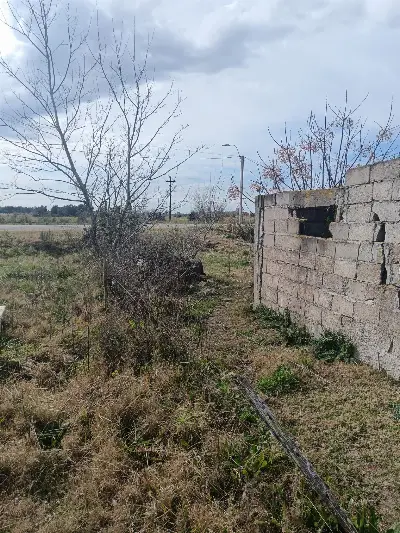 Terreno en venta en Cardona - foto 2