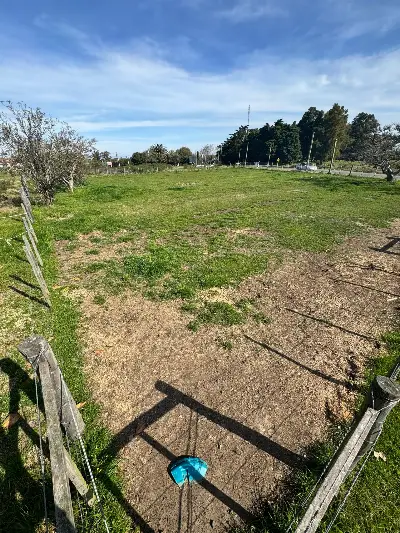 Terreno en venta en Colonia del Sacramento - foto 3