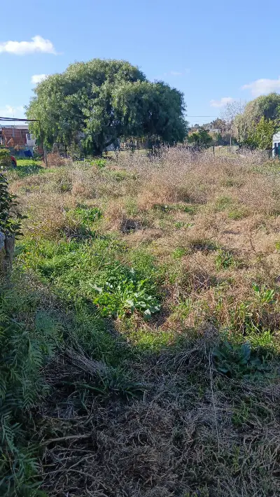 Terreno en venta en Colonia del Sacramento - foto 2