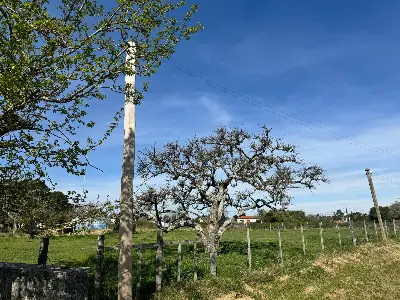 Terreno en venta en Colonia del Sacramento - foto 5