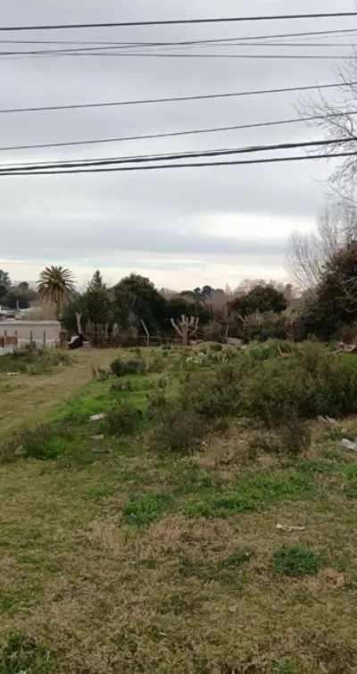 Amplio Terreno en El General – Colonia