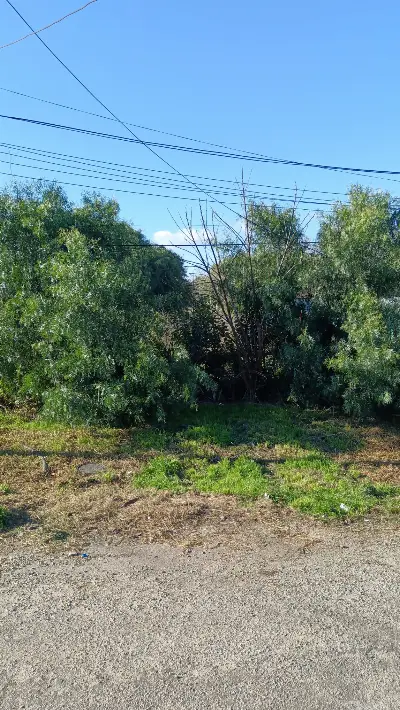 Terreno en venta en Colonia del Sacramento - foto 3